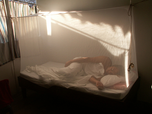Mosquito Net - A mosquito net offers protection against mosquitos, flies, and other insects, and thus against diseases such as malaria. Its fine, see-through, mesh construction stops many insects from biting and disturbing the person using the net. The mesh is fine enough to exclude these insects, but it does not completely impede the flow of air  -answers.com
