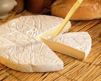 Brie - This is a picture of my favorite kind of cheese, Brie.