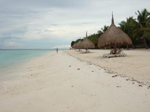 Beach - Bohol Beach Club....