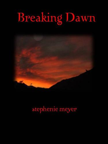 Breaking Dawn - I believe this to be one of the many possible covers for the new book. I have seen many of them out there, so I think the cover has yet to be decided.