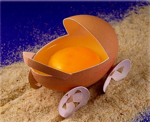 egg - inside view