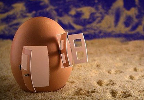 egg - house