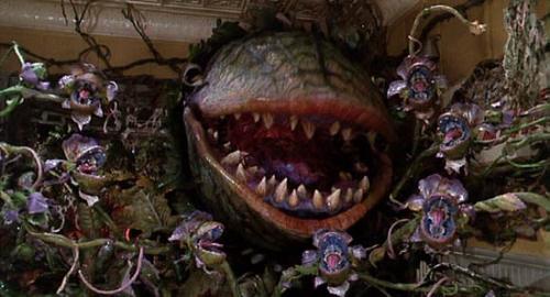 carnivorous plants - Feed me, Seymour!