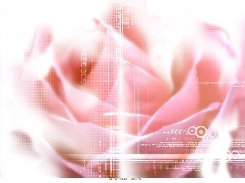 look - beauty