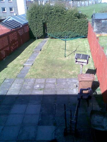 garden - taken from window upstairs