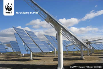 Thank Some Cool Companies - We need revolution in the supply of energy to combat climate change. We need to make a drastic switch from the current reliance on fossil fuel energy to a super-efficient system with new low- and zero-carbon technologies.