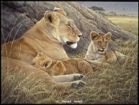 animals - king of the jungle