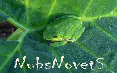 Nubsnovets - my logo