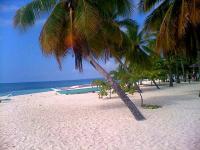 malapascua island,philippines - malapascua beach resort,philippines