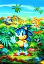sonic - the photo of the game sonic