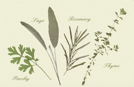 herbs - herbs add a lot ot the flavor of foods