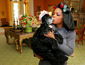 Oprah With Her Dog Sophie - image of oprah with her dog sophie who just passed away