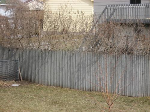 Back Fence - Tons of Lilacs here each Summer