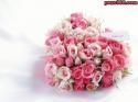 Flower heart - Flower heart Flower heart Flower heart Flower heart Flower heart Flower heart Flower heart