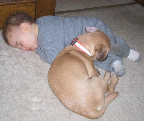 Hemi the Protector - This is our Puggle Hemi sleeping with a boy I babysit for. Arnt they cute?!