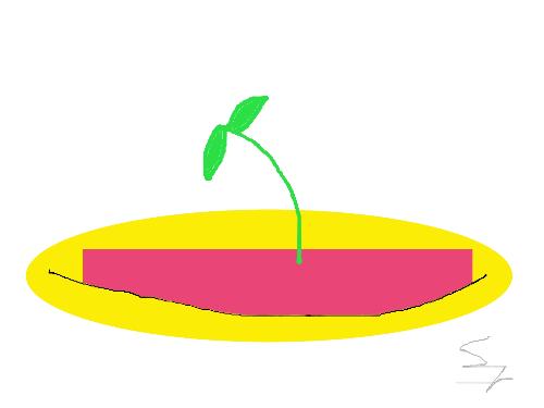 Hydroponics - Hydroponics need not be expensive, it can be almost free as air!