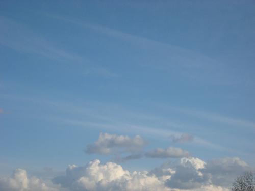 Lovely white clouds - A lovely sunny day with gorgeous clouds up in the sky