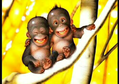 Monkey friends - They are so cute! They could be good friends too.