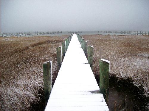 snow covered pier - Pier on Chincoteague Island.