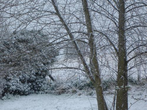 Tree in Snow - A snow scene through a tree in next door's garden. April 6th, 2008.
