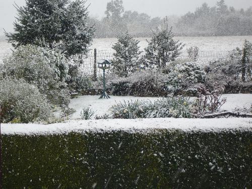The Garden under April Snow - The Garden under snow... April 6th, 2008.