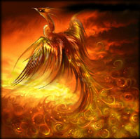 phoenix - the mythical bird of fire