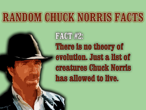 Funny Chuck Norris Facts - One of the many funny Chuck Norris Facts, this time in a picture