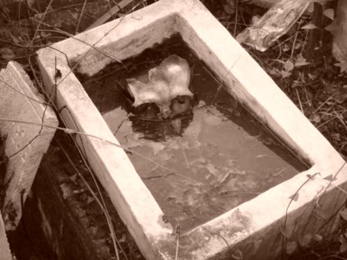 death - this was a picture of a skull in a baby's crypt in Cebu province on November 1. It was next to the common crypt.