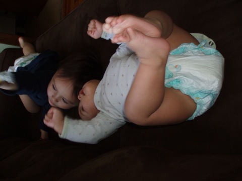 head butting - Just lounging around.