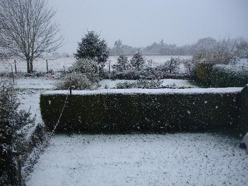 Garden and Field Under Snow - The whole garden and field were under snow when this picture was taken and it was still snowing. 6/4/08