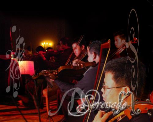 Serenade - Photos of serenade from there gig's in tintero, which I used as a menu page for violin masterclass video