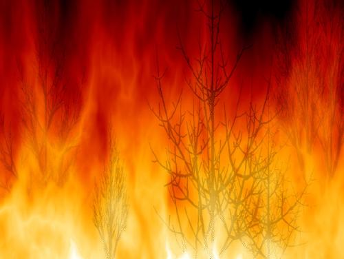 inside my heart - my heart burns like it because of so much anger packed inside it.