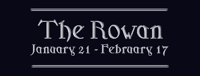 The rowan - Rowan