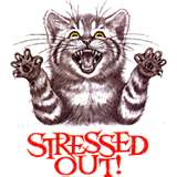 me! - Oh the kitty in me.... ARG!!