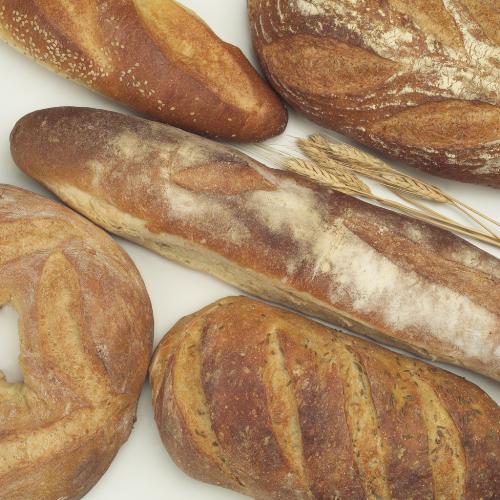 bread - i love bread. bread - i love bread.