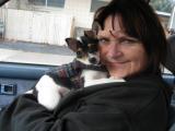 Fab Pet - Baby's first ride home. Gabbie Bella at 6weeks, she is a Papllion & Rat Terrier. Great companion, lots of energy, cute personility and a member of the family.