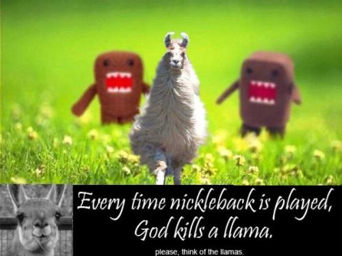 Llama haters - Ha ha ha someone made this for a site on nickleback a long time ago, I saw it and it made me crack up, and still does everytime I see it...