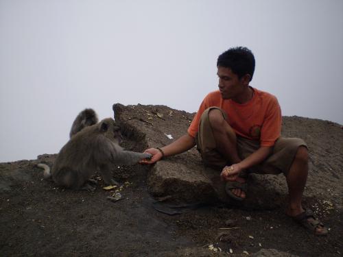 brother(and sister)hood  - you can find our brothers, sisters and ancestors on the top of mt. rinjani