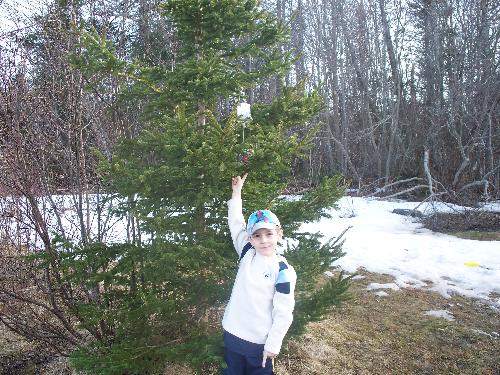 colton's feeder - colton's bird feeder