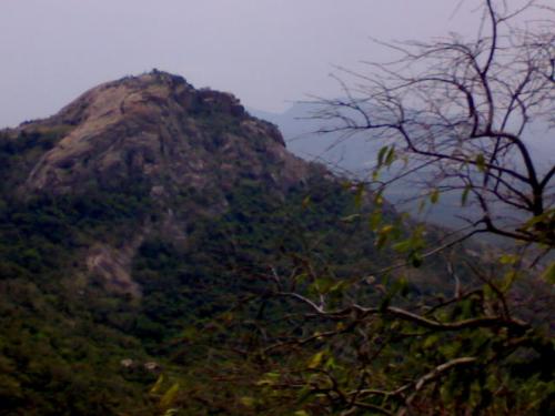 nature - enjoy the nature