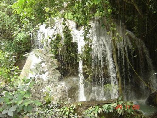 anahaw falls - in the hinterlands of argao is the anahaw falls. it is one of the untouched wonders of the place.