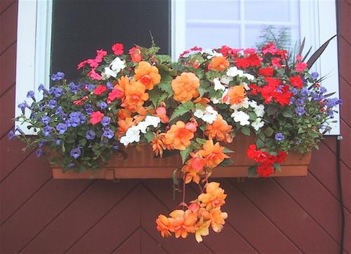 Flower Box - This is an idea I may plant this weekend. I love the variety of flowers.