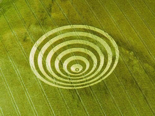 Crop cycle - England