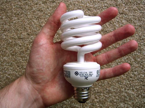 energy lightbulb - this is what they look like go get them and save money now!