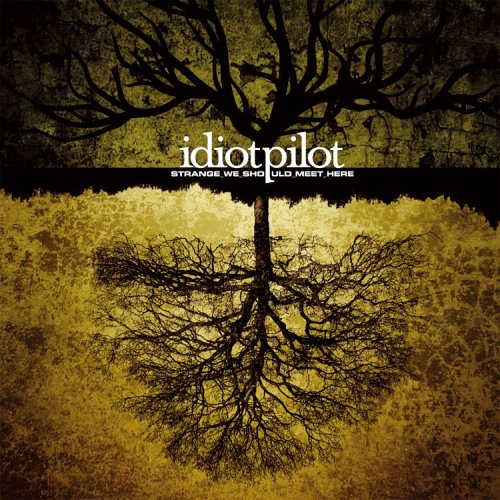 idiotpilot - my lovely band :P