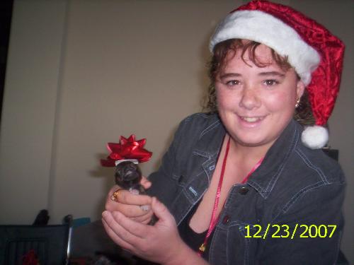 christmas photo - me holding a puppy