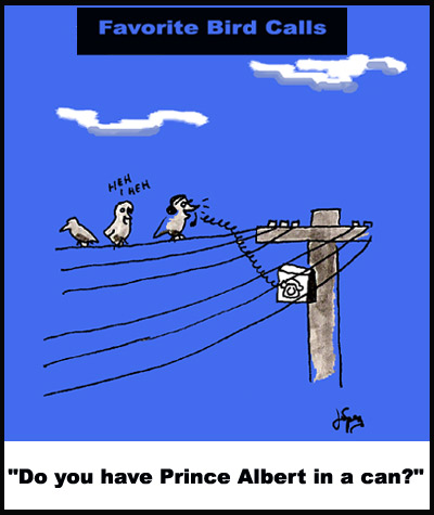 Bird Calls - you've been punk'd!