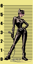 Catwoman - Catwoman who looks like a stalker