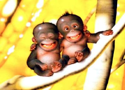 monkeys - best buds!
