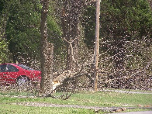 Downed Tree - This is another picture of the damages after the Muldrow, OK storm of 4/9/08.